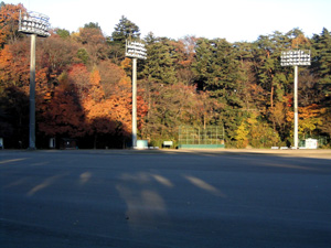 autumn ground.JPG